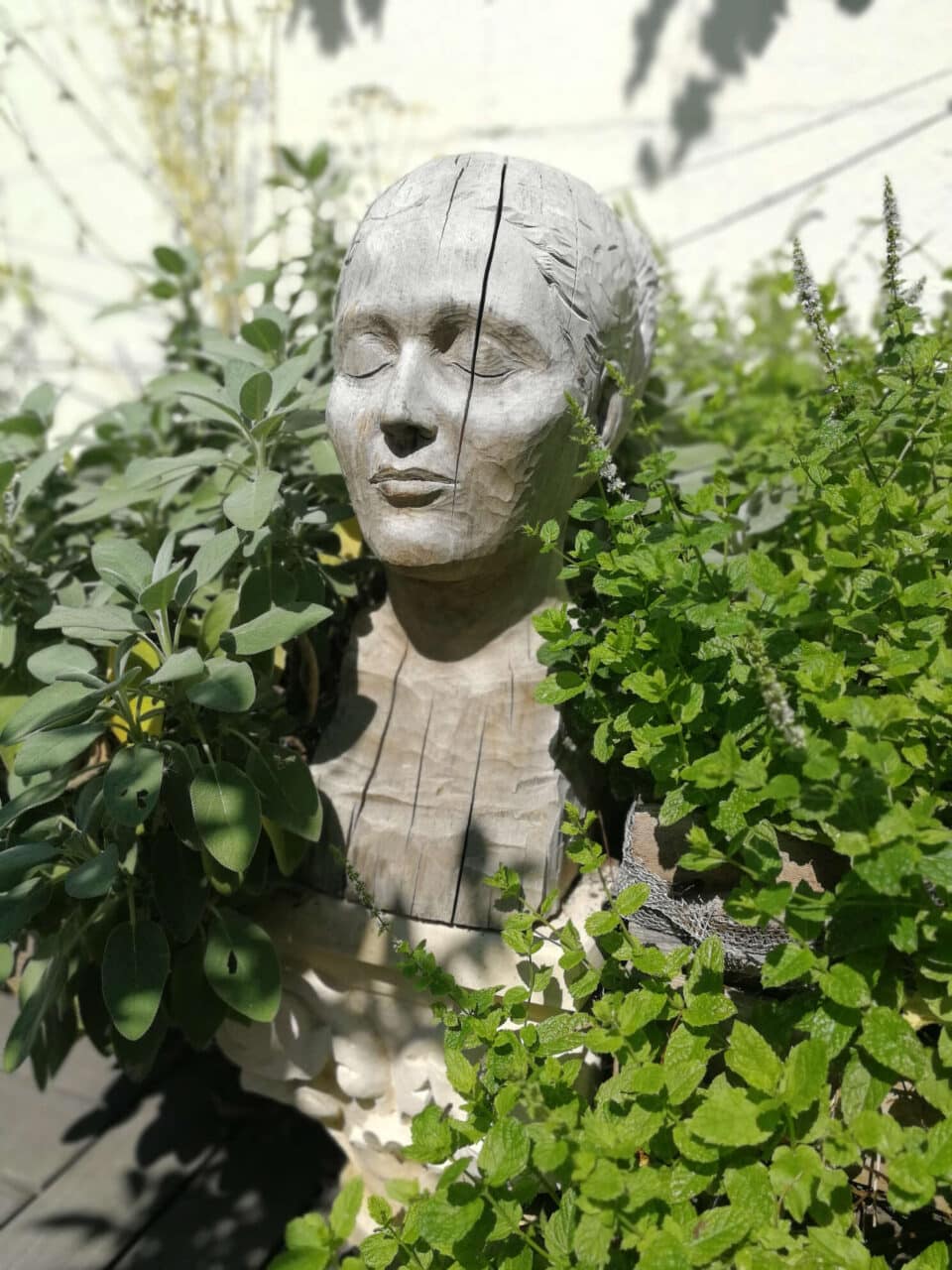 Claire, sculpture modèle en bois qui se patine et se fend au grès des éléments naturels