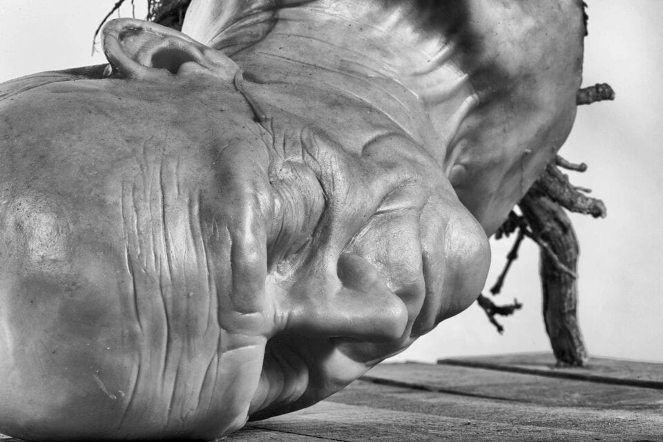 Décadence, 2015, cire, bois, 36x67x63 cm © Photographe Antoine Duhamel 2