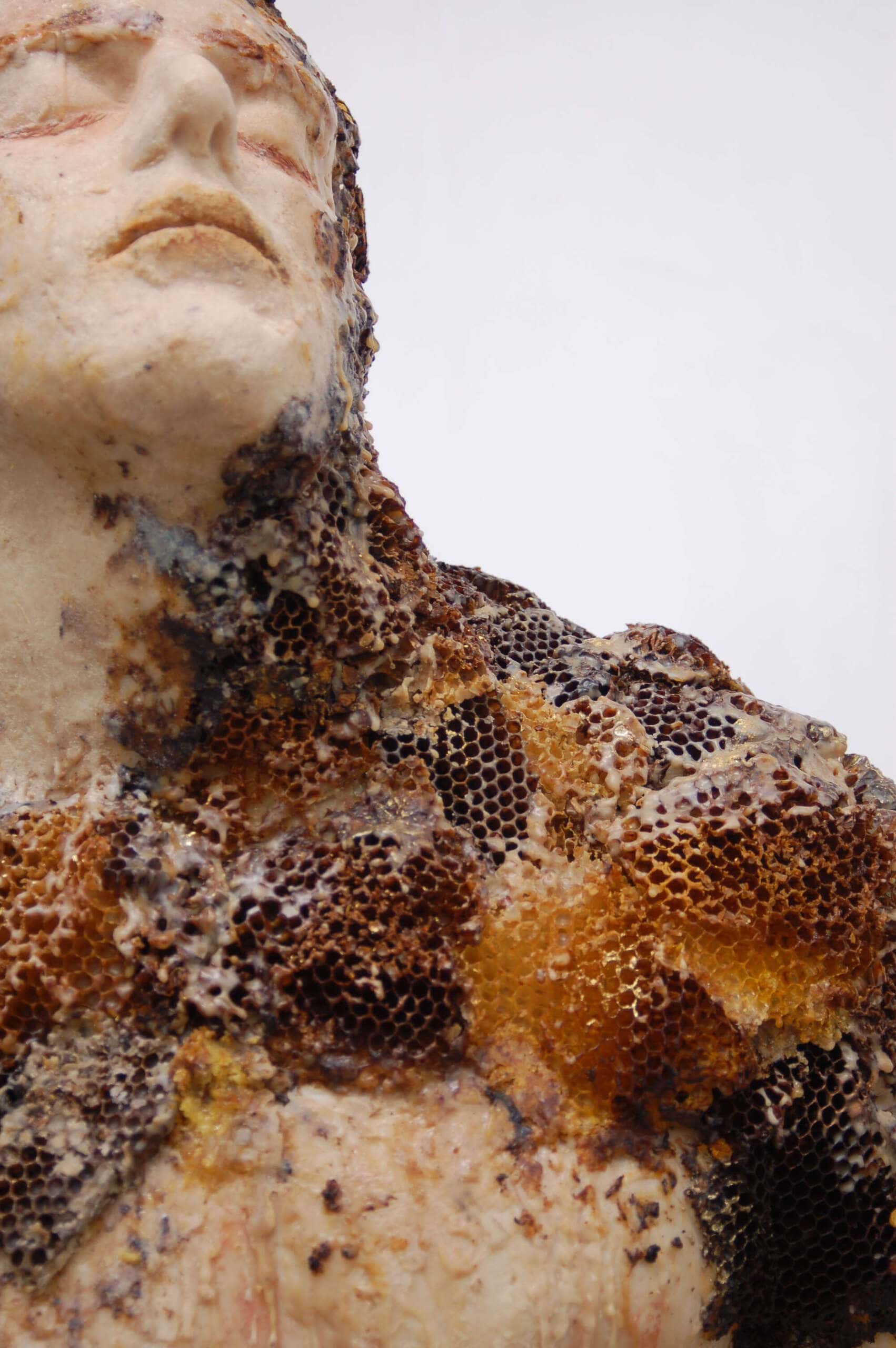 Intus et in cute, 2013, 170x60x40 cm détail