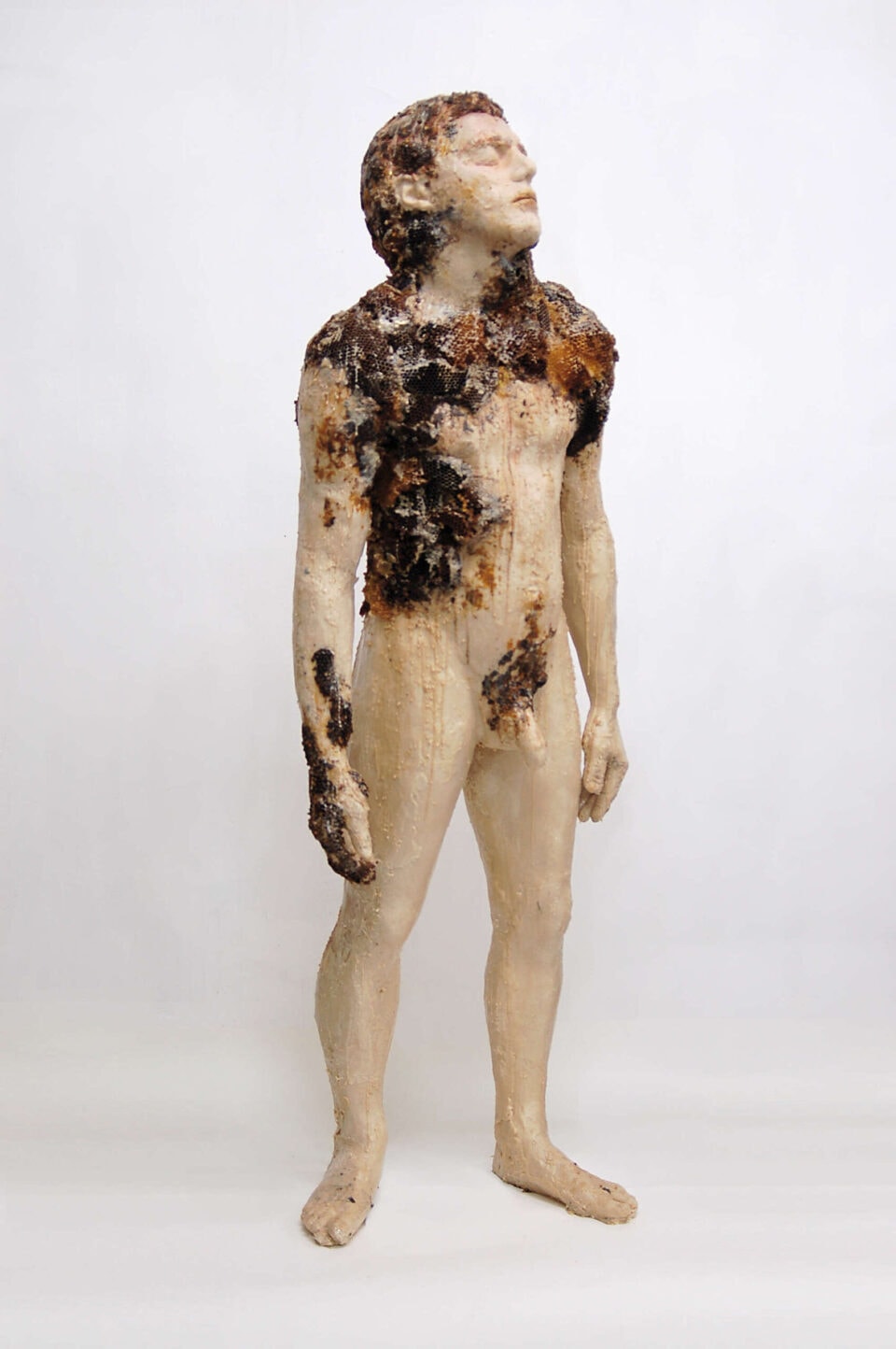 Intus et in cute, 2013, cire et cire d'abeilles en rayon, 170x60x40 cm