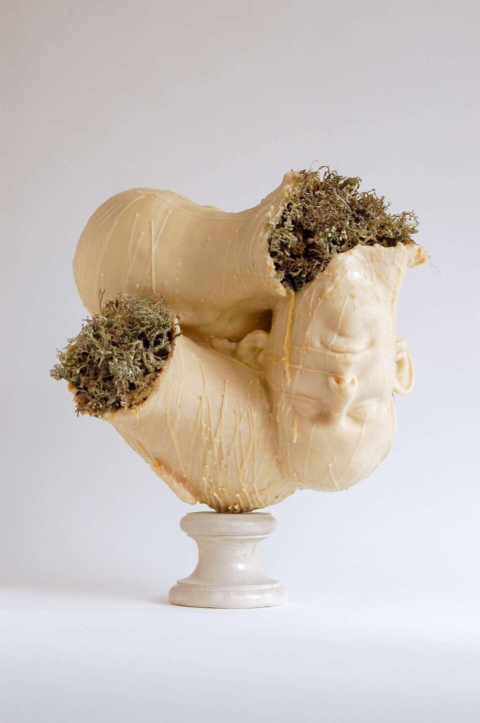 Noosphère 2, 2015, cire, lichens, ciment, 48x39x33 cm 1