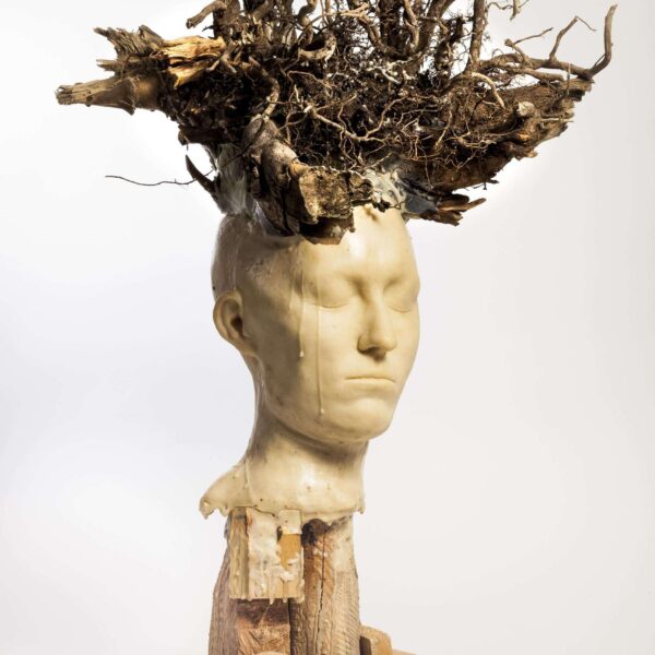 Radicant, 2013, cire et bois, 74x52x43 cm