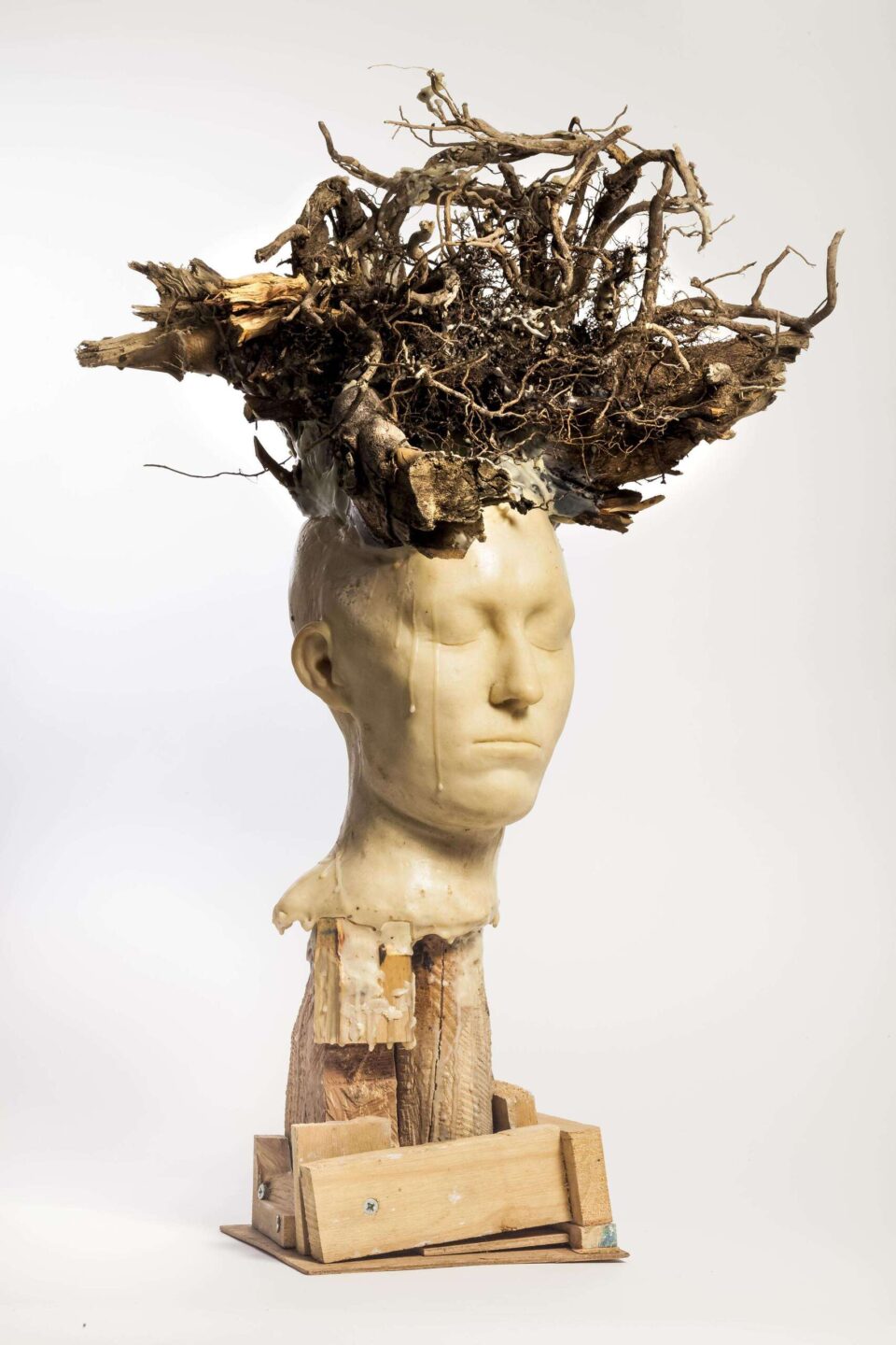 Radicant, 2013, cire et bois, 74x52x43 cm